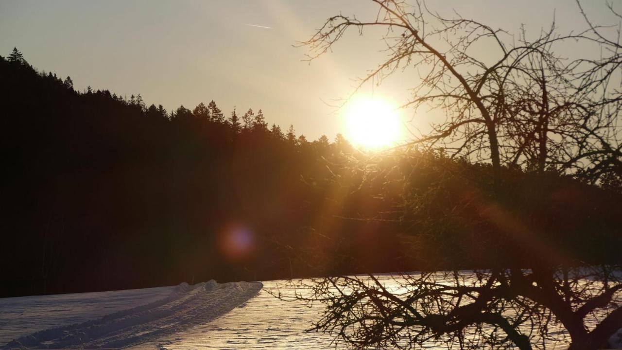 Landhotel Basler Hof Lauterbach  Eksteriør billede