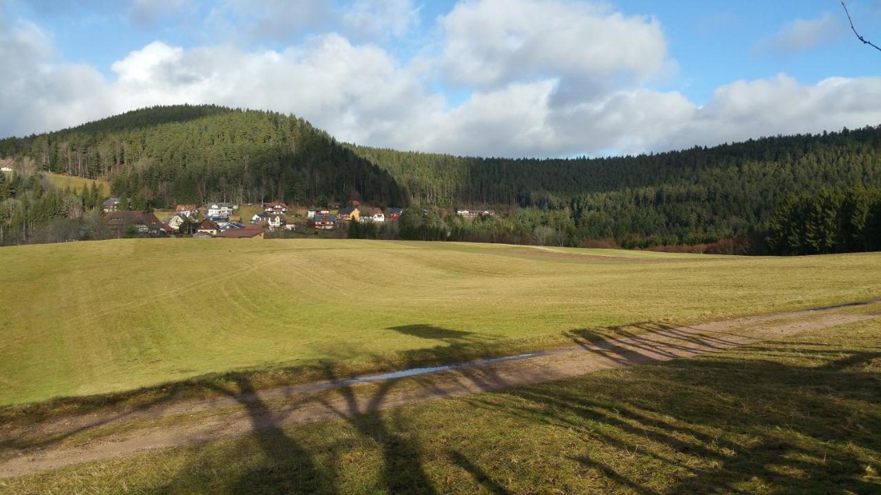Landhotel Basler Hof Lauterbach  Eksteriør billede