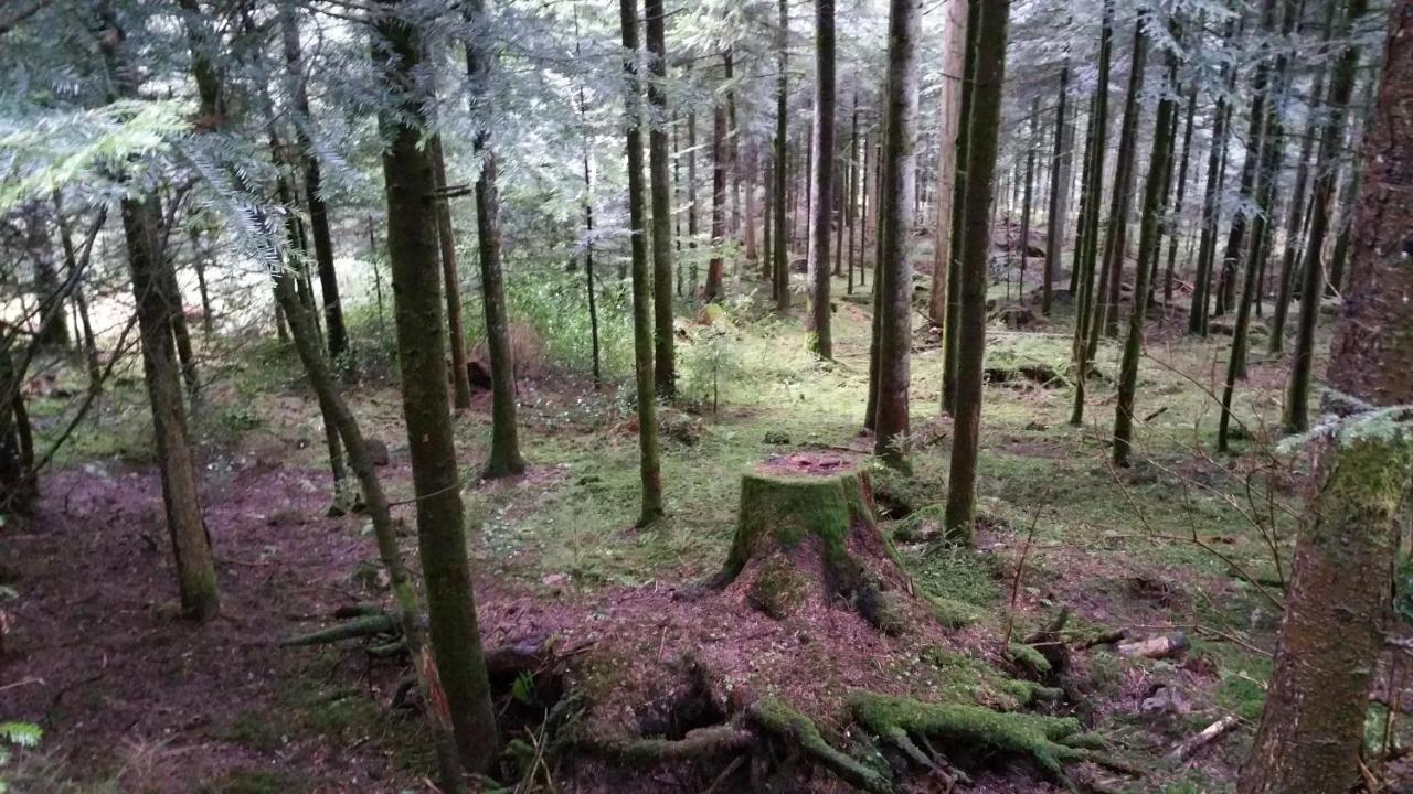 Landhotel Basler Hof Lauterbach  Eksteriør billede